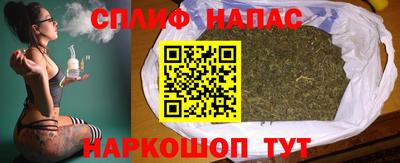 твердый Камышлов